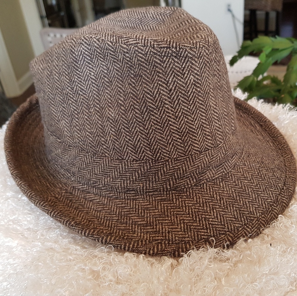 Brown fedora